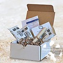 Pawprint Imprint Kit